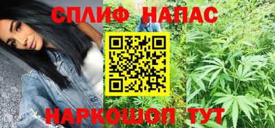 стаф Кунгур
