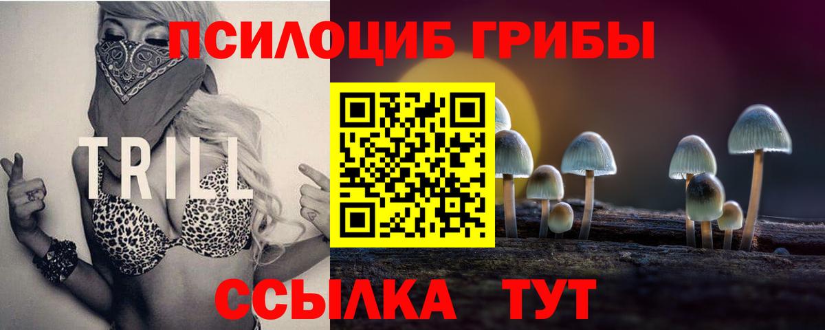 Псилоцибиновые грибы GOLDEN TEACHER  Вход с VPN  Псилоцибиновые грибы ЛСД  Камышин 